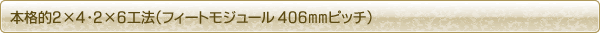 �ܳ�Ū2��4��2��6��ˡ�ʥե����ȥ⥸�塼�� 406mm�ԥå���