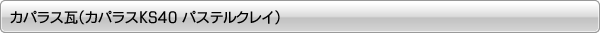 ���ѥ饹���ʥ��ѥ饹KS40 �ѥ��ƥ륯�쥤��