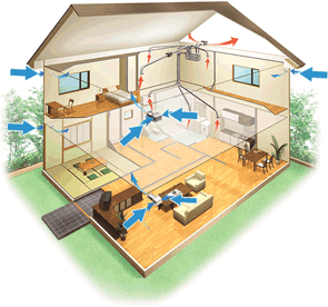 ������ή��